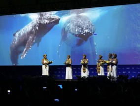 在哥伦比亚举行的COP16生物多样性峰会上，代表们同意建立土著附属机构