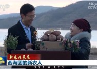 【新春走基层】西海固的新农人